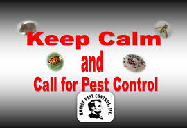 Bee Honst Pest Control