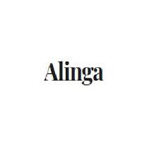 Alinga Web Design