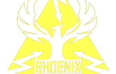 Phoenix Electromechanical Services Ltd