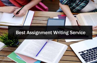 online assignment writer