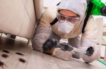 Elite Pest Control Adelaide