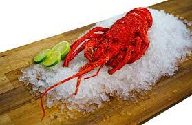 Adelaide Seafood