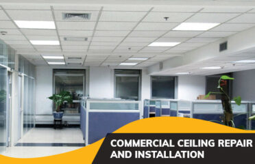 Ceilings and Stud Walls