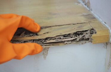 Orbit Pest Control Whittlesea