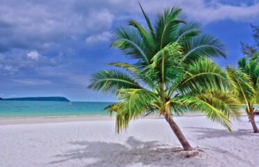 Single Parents on Holiday Ltd