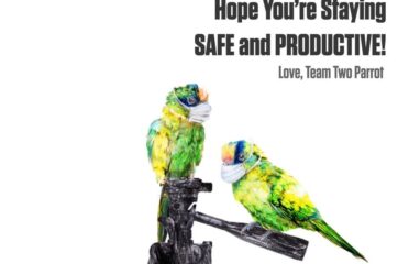 Two Parrot Productions