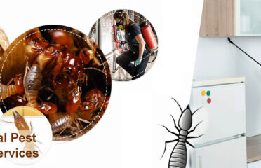 Eco Global Pest Control