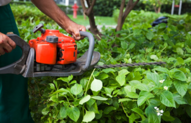 Soft Landscaping Faulconbridge – Alex Tree and Garden Services