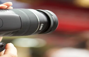 Photographer Near Me